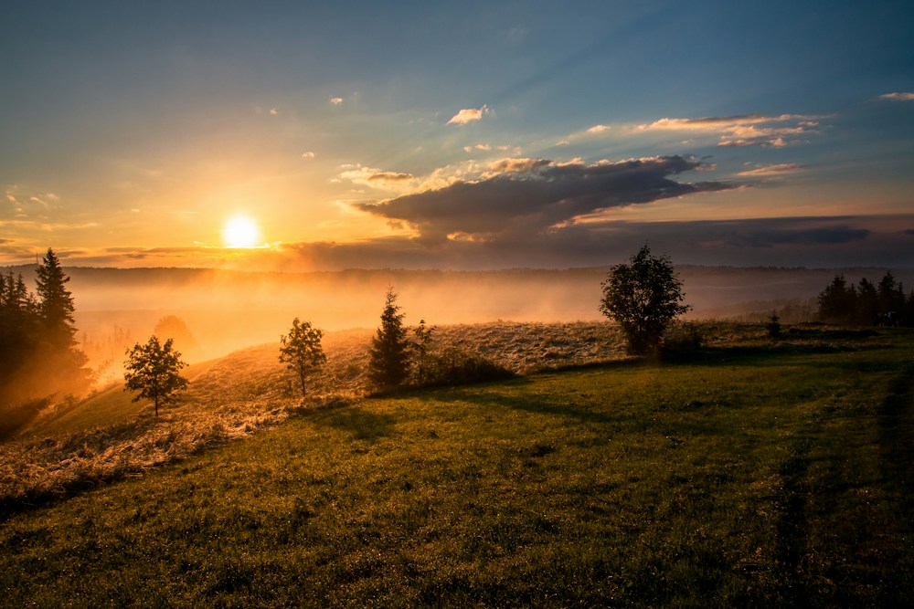 Soft morning light over a natural landscape